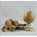 Agaricus blazei mushroom extract